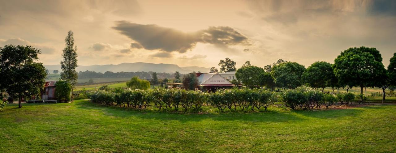 Hanging Tree Wines Pokolbin Luaran gambar